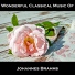 Wonderful Classical Music Of Johannes Brahms