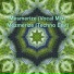 Mantra Mindware