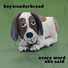 boywonderbread