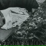 Starvation