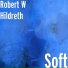 Robert W Hildreth
