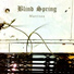 Blind Spring
