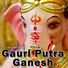 Ravinder Sathe