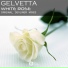 Gelvetta