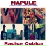 Radice Cubica