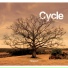 Cycle