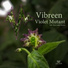 Vibreen