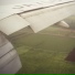 Celer