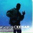 Ceesar