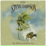 Steve Dawson