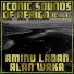 Aminu Ladan Alan Waka