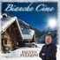 Fausto Fulgoni