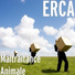ERCA