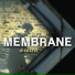 Membrane