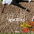 Surf