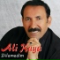 Daf u Zurna