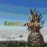 Kelerin Torres