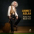 Ahmet Aslan
