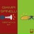Giampi Spinelli