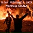 Elgio, Nyto Rukeli, Siker