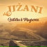Jižani