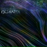 Quanta & Landswitcher