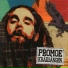 Promoe feat. Timbuktu, Supreme & Andreas Grega