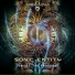 Sonic Entity