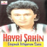 Hayri Şahin