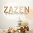Zone de la musique zen