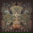 Fit For An Autopsy