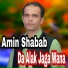 Amin Shabab