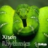 Xison