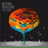 Dualist Inquiry