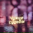СКРО х Hawaiian х n.neslovami