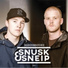 Sneip