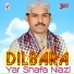 Yar Shafa Niazi