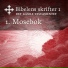 Rainbow english 2 класс