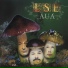 L.S.E.