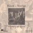 Mönsterås Bluesband