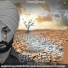 Darsh Grewal