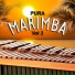 Marimba Juárez