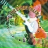 The Mars Volta