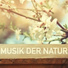 Lernen Farin