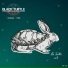 Dearseal