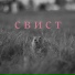 неплохой вид