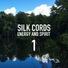 Silk Cords