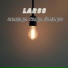LARSS