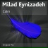 Milad Eynizadeh