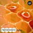 Nordchord